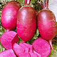 Дайкон  Малиновый нектар F1 Дайкон  Малиновый нектар F1