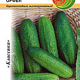 Огурец  Орфей F1
